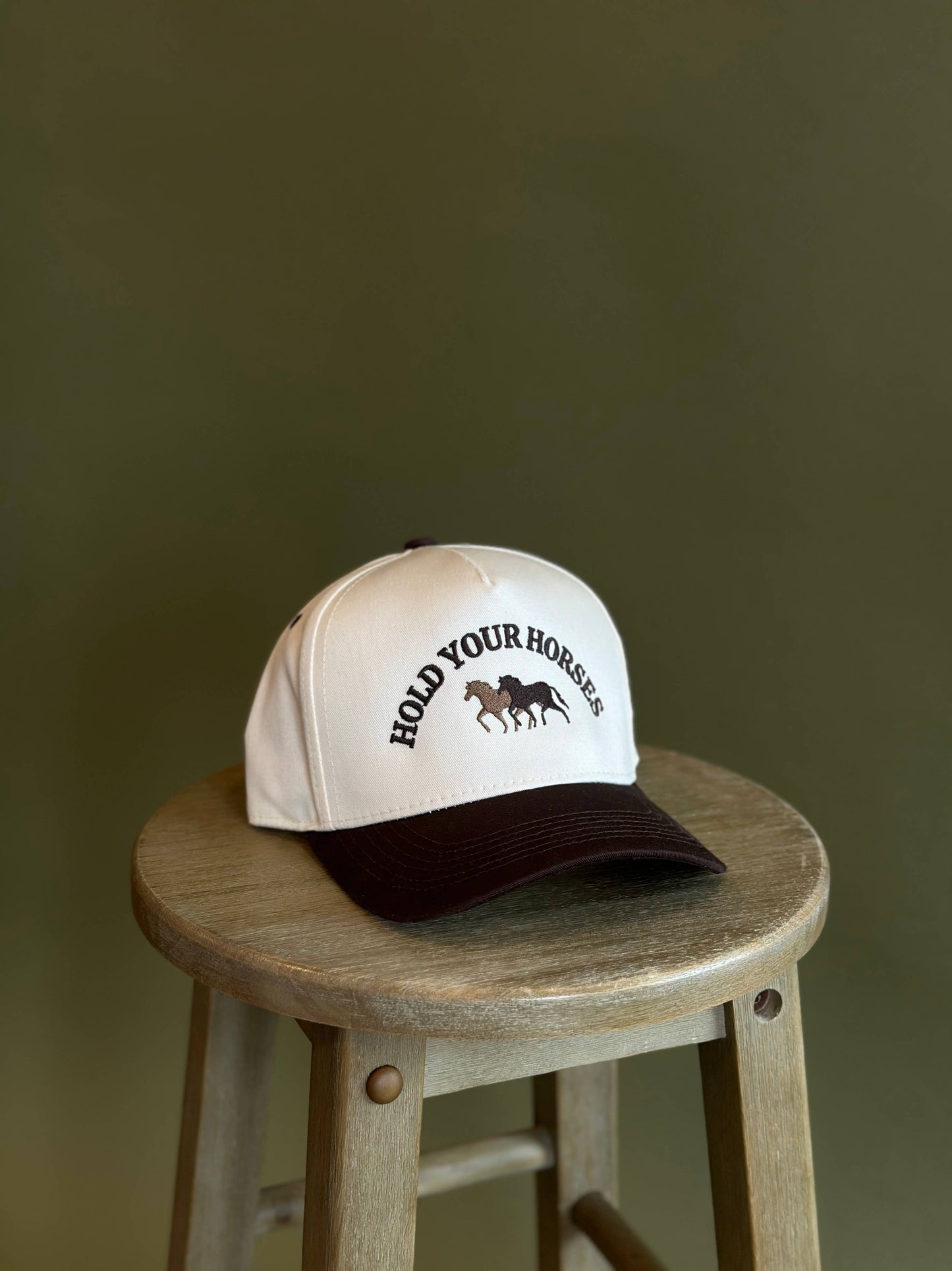 Hold Your Horses hat trucker hat western hat