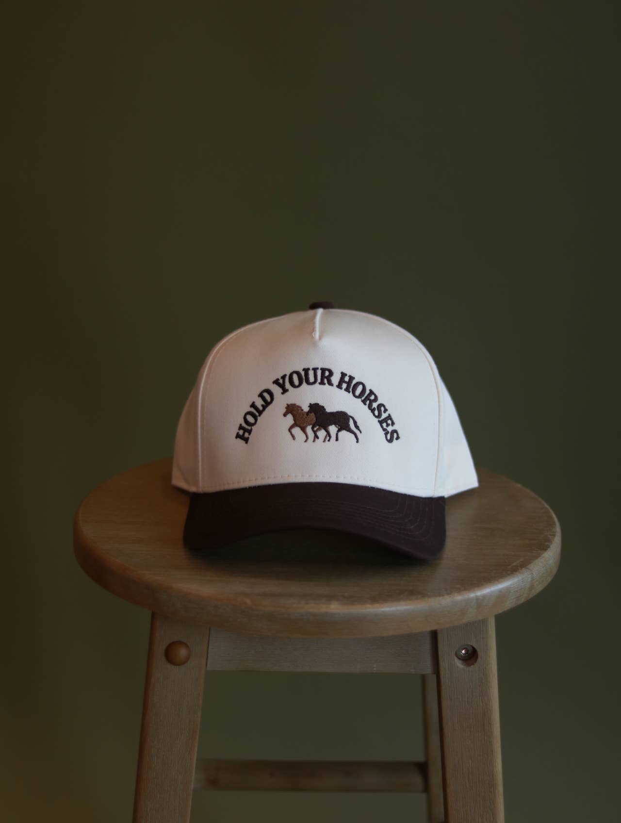 Hold Your Horses hat trucker hat western hat