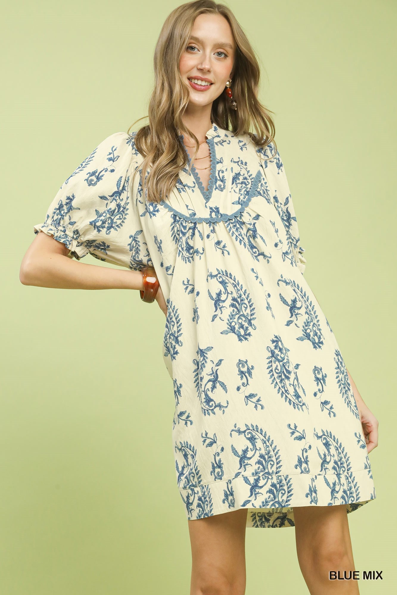 Blue & Cream Paisley Mini Dress