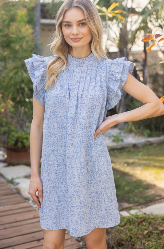 Ruffle Sleeve Dress